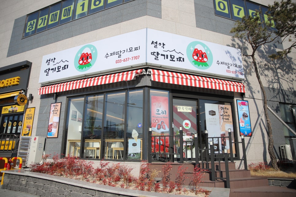 설악딸기모찌 이미지