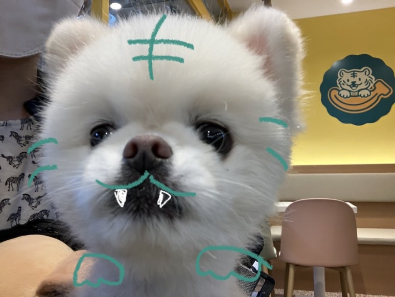 바나타이거진해 이미지