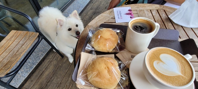 카파커피김량장역 이미지