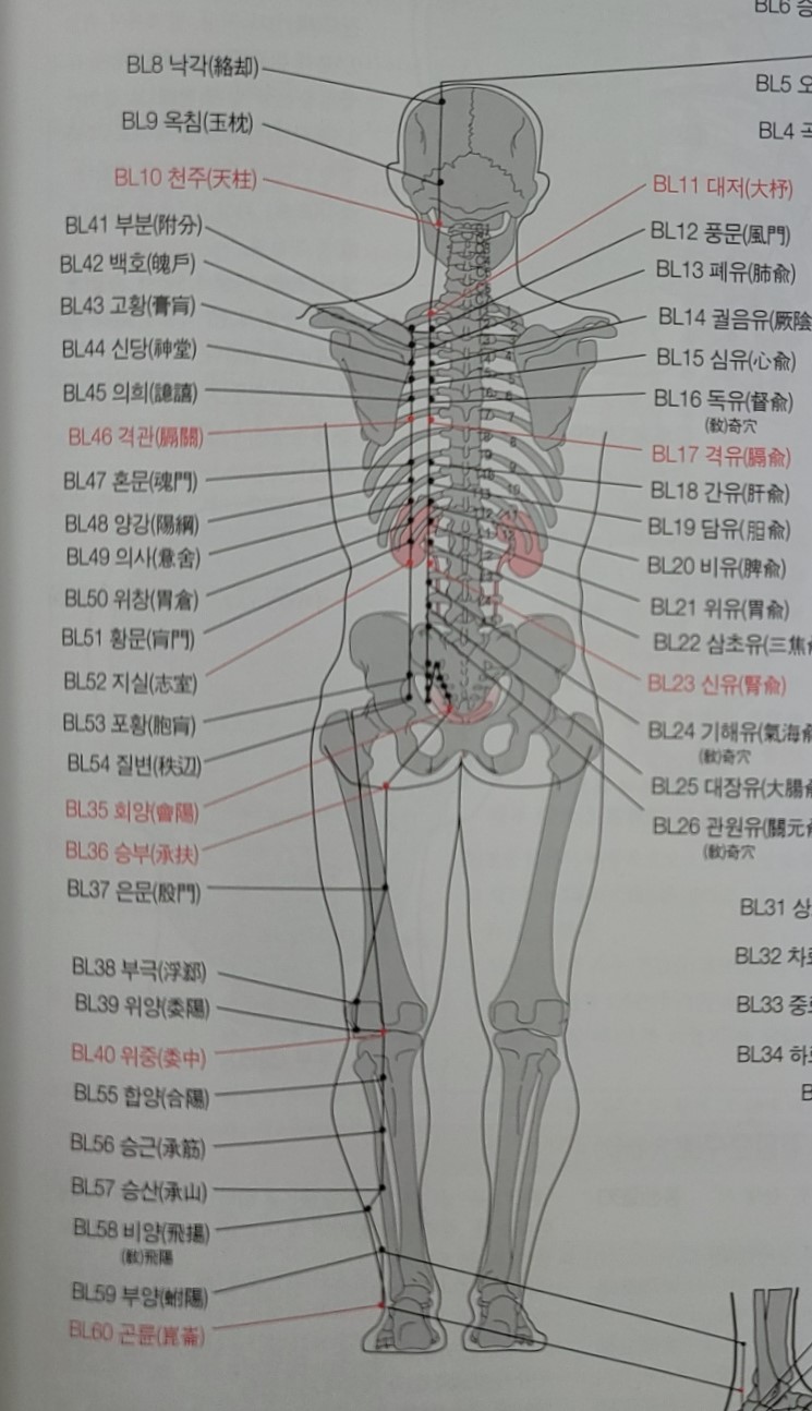 럽테라피 이미지