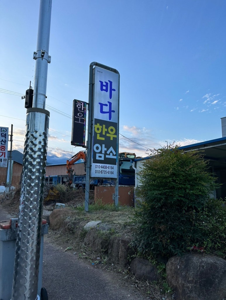 바다한우암소 이미지