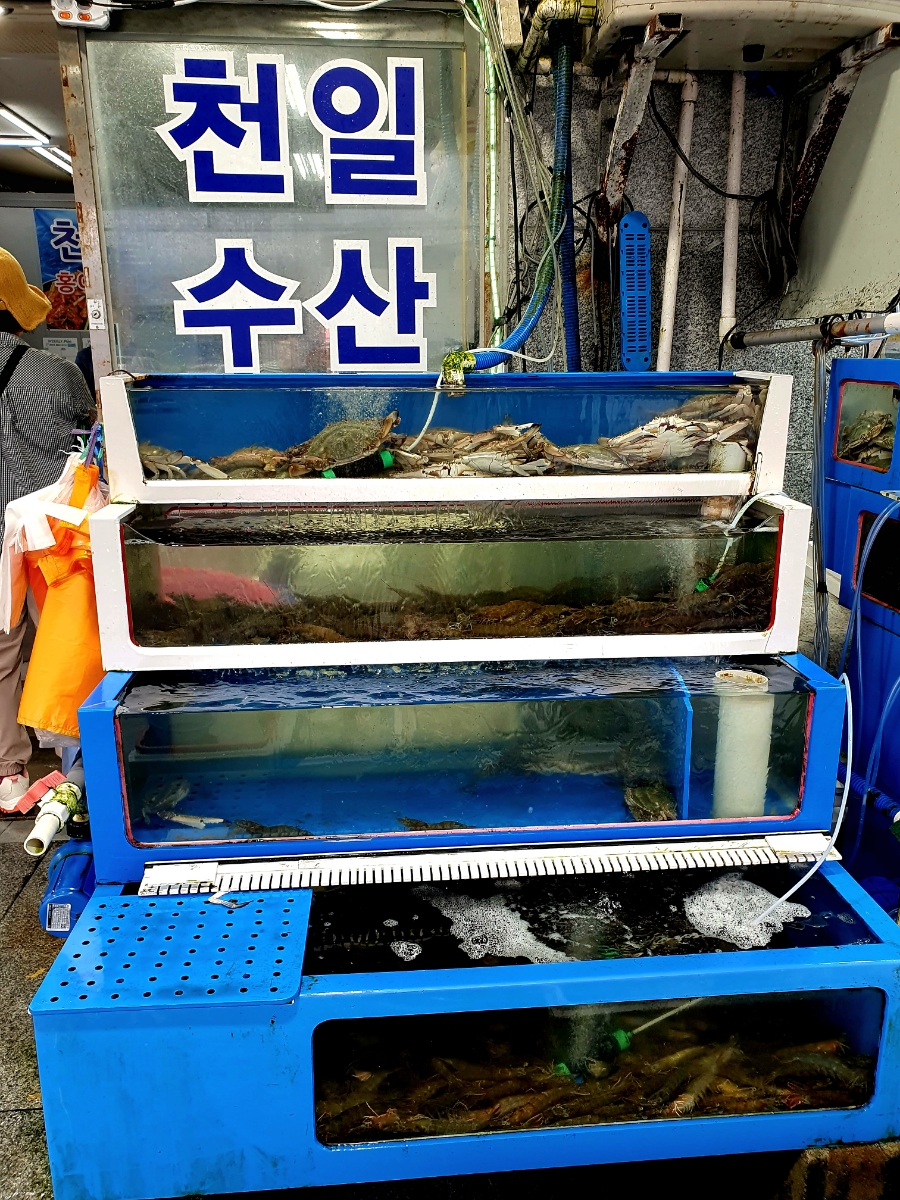삼천수산 이미지