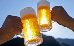 등촌 맥주 이미지