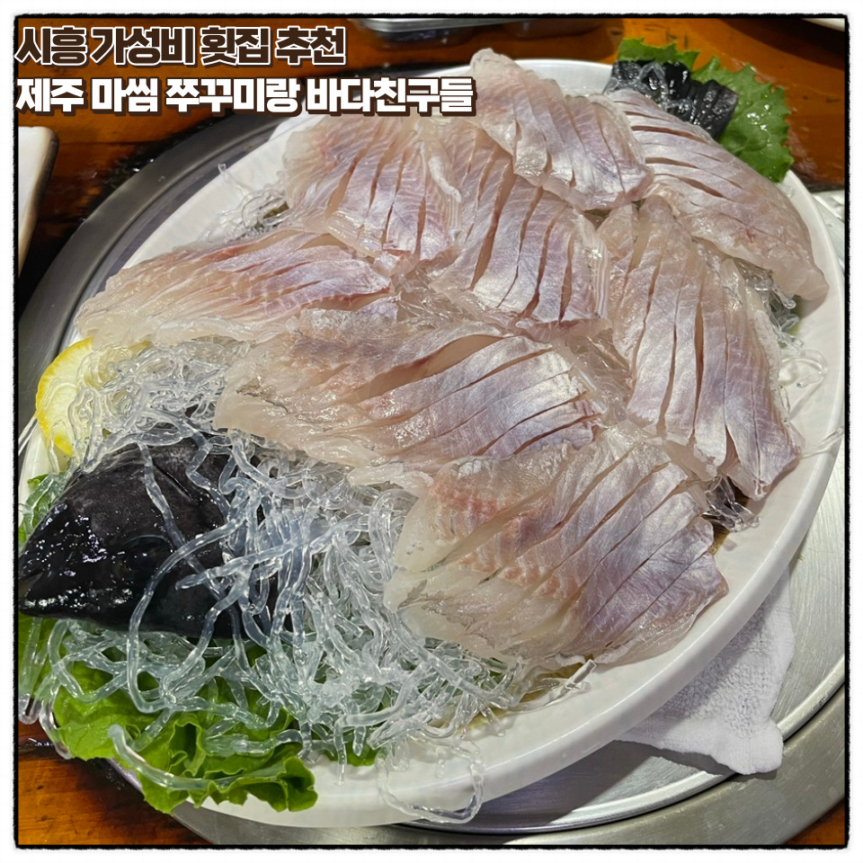 쭈꾸미랑바다친구들 이미지
