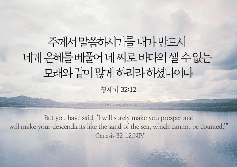 마하나임(주) 이미지