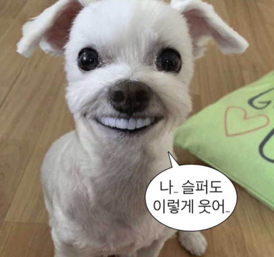 홀스토어 이미지