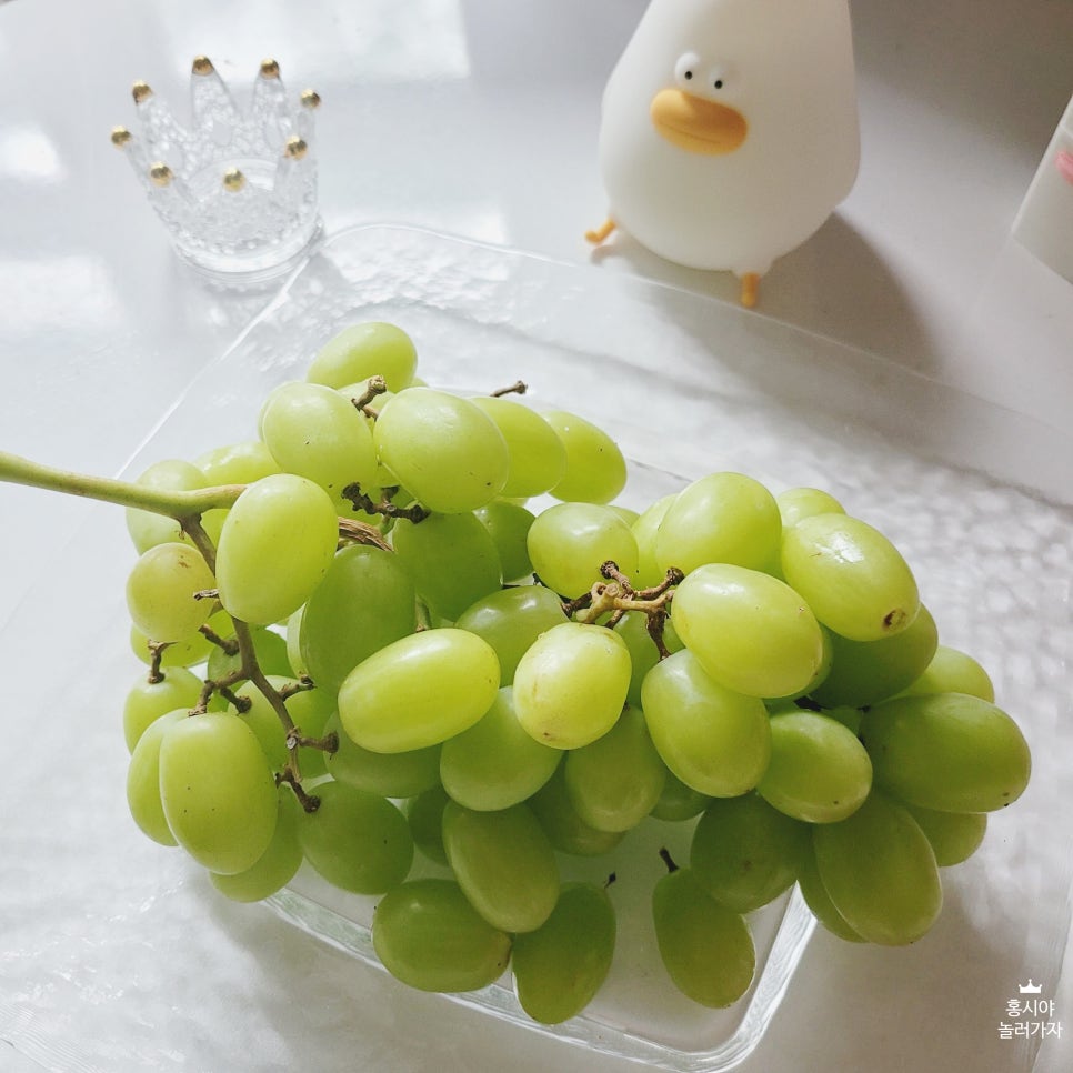 벨라인터네셔널 이미지