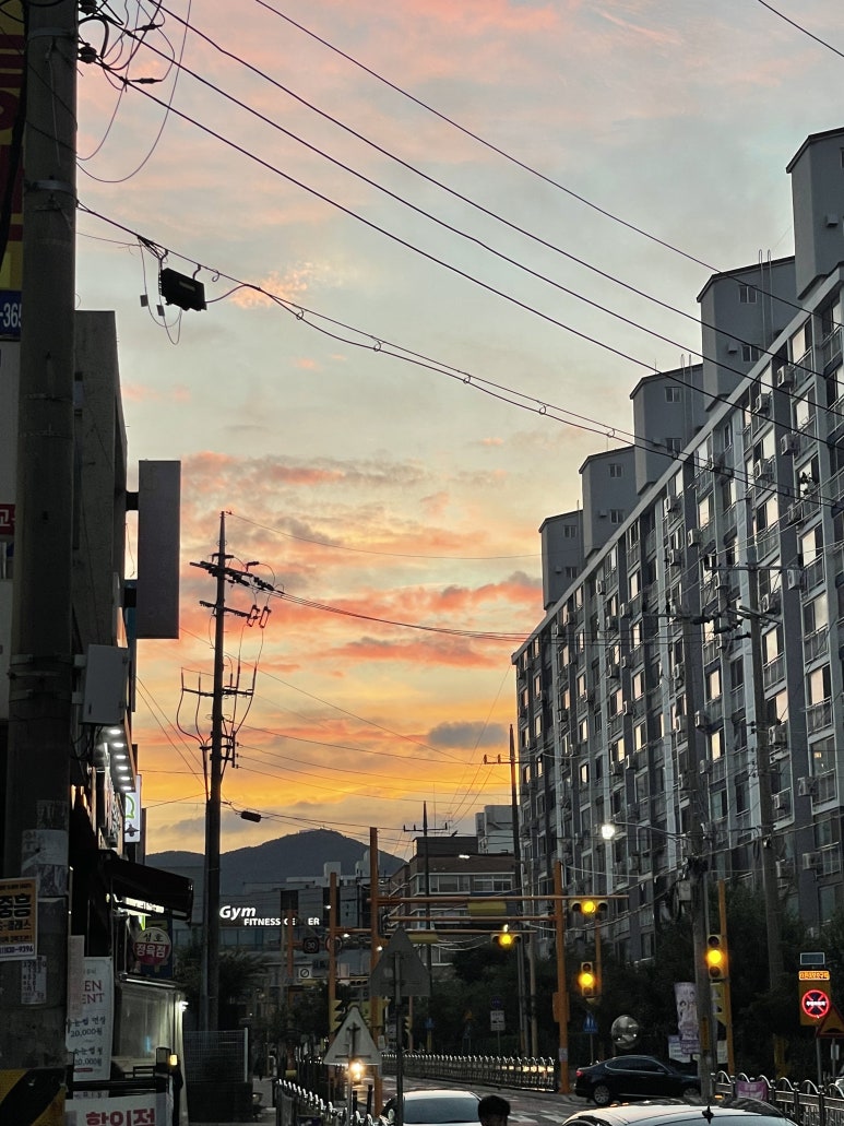 참치명적 방이직영점 이미지