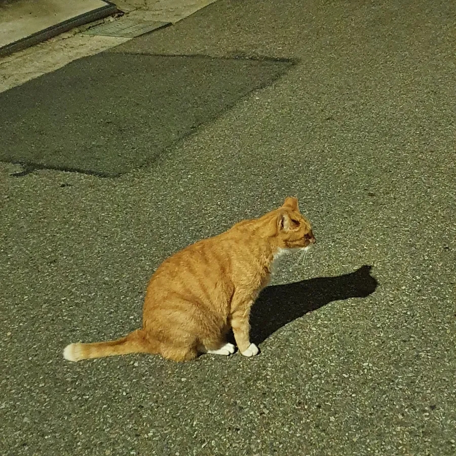 커피선카페 이미지