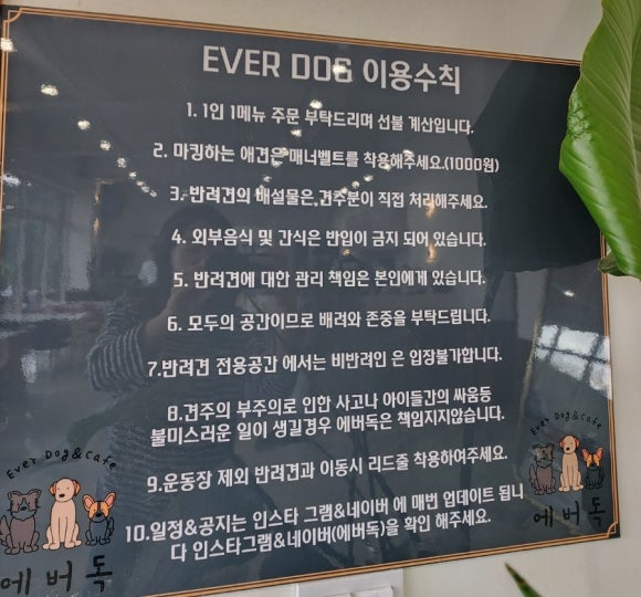에버독 이미지