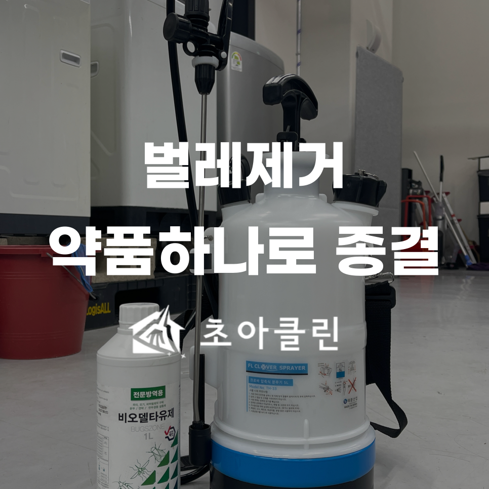 초아클린 이미지