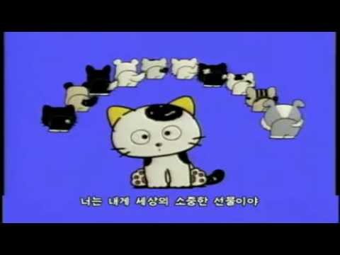 터틀샵 이미지