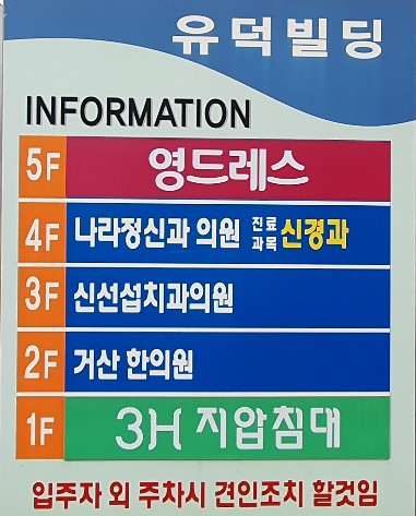 영드레스 이미지