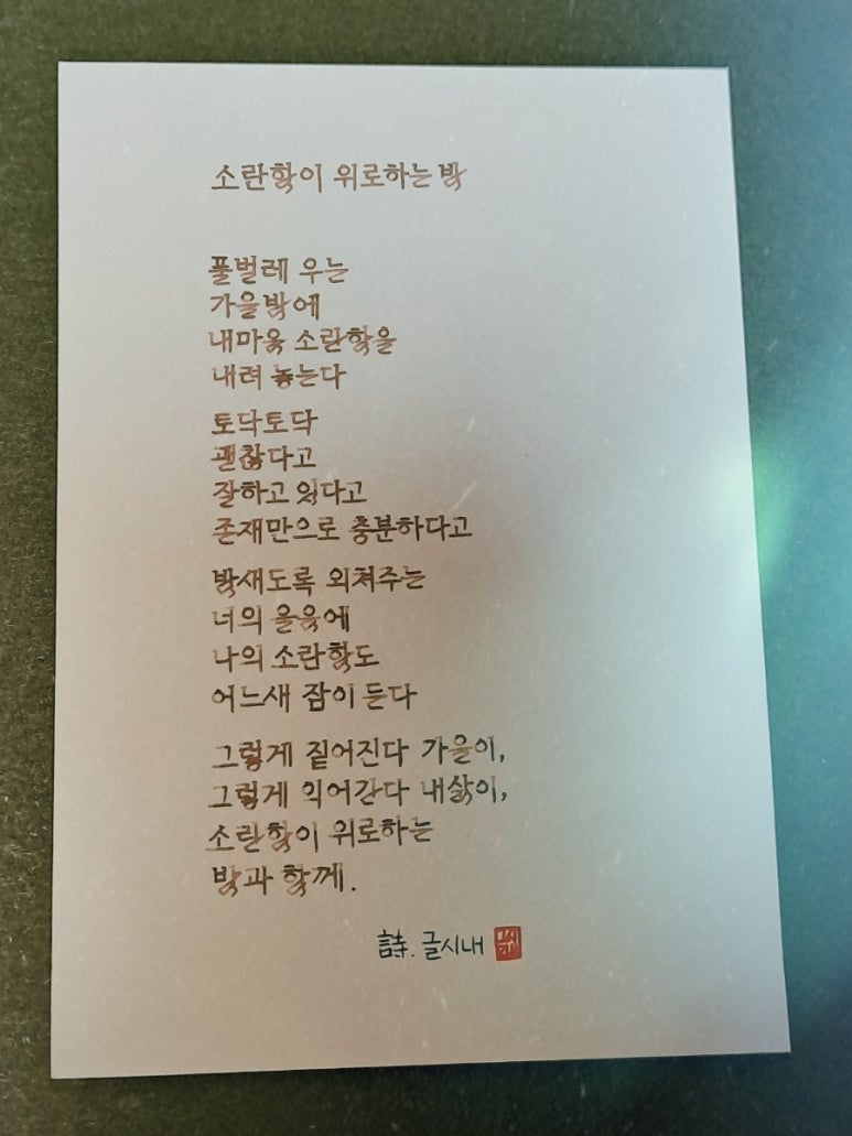 꽃쌤미꽃 이미지