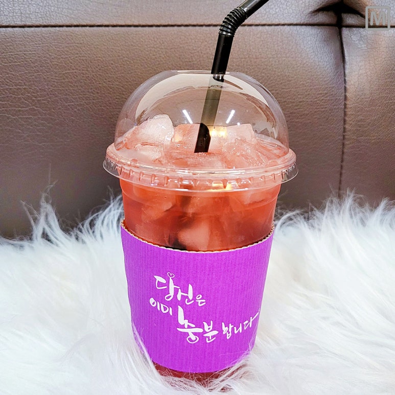 홍헤원 이미지