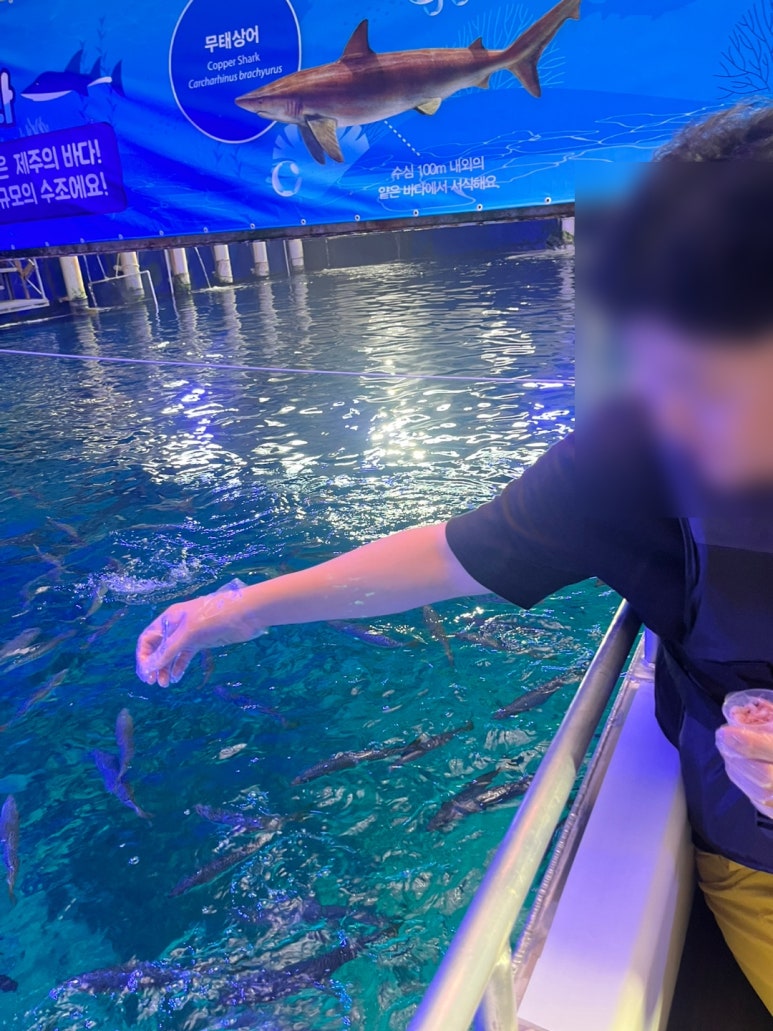 중앙농약종묘사 이미지
