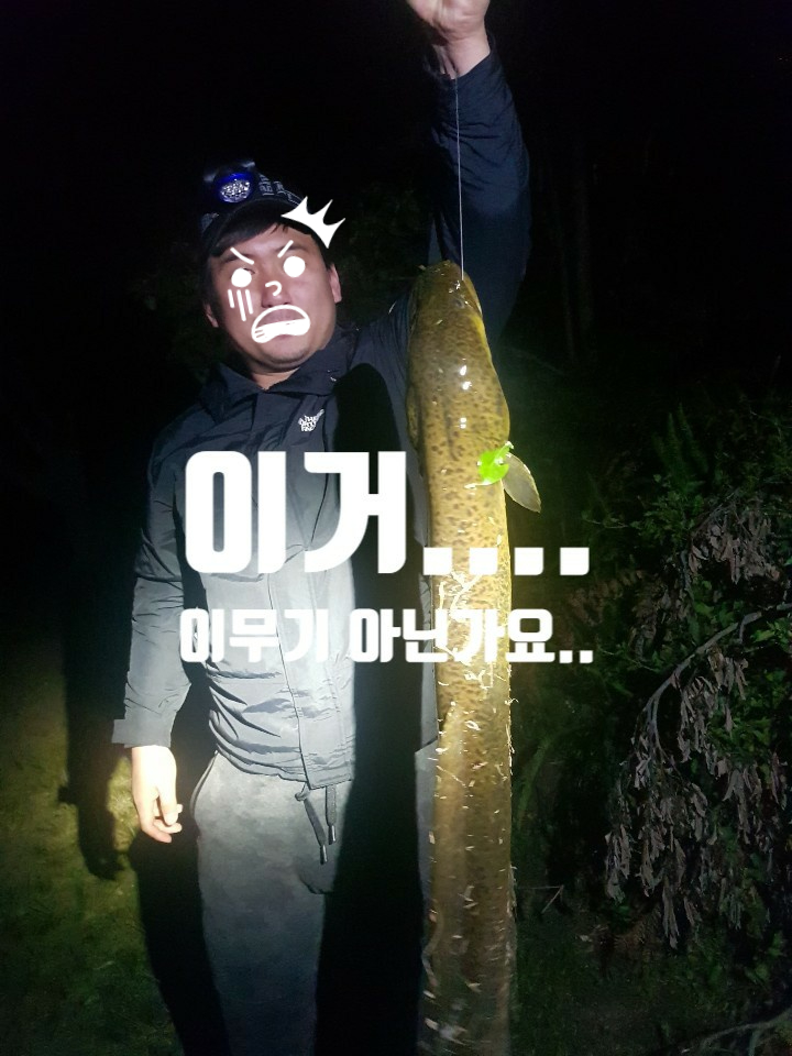 민물장어가보자 이미지