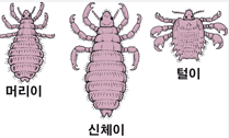 이옷니옷 이미지