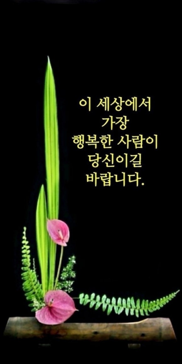 패밀리랜드카라반캠핑장 이미지