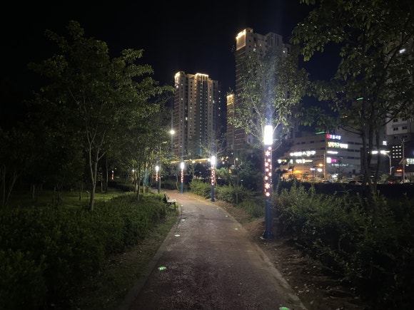 대죽도 유아숲체험원 이미지