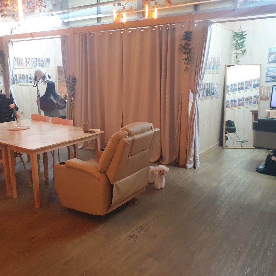진영헤어 이미지
