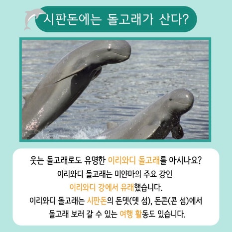 [부산외대 국제개발협력전공] 메콩강 전시회 국개협팀 참여 부산외국어대학교