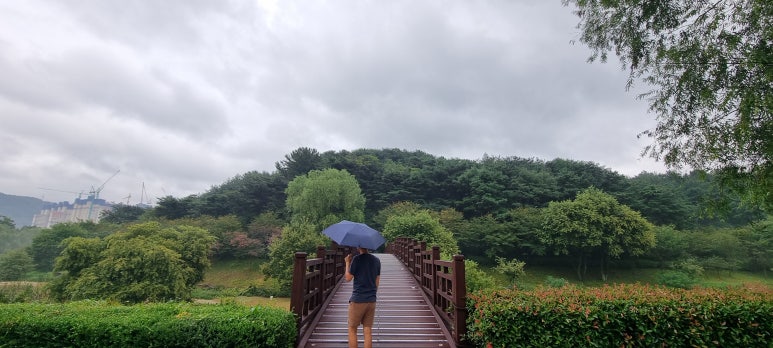 이파리NC점 이미지