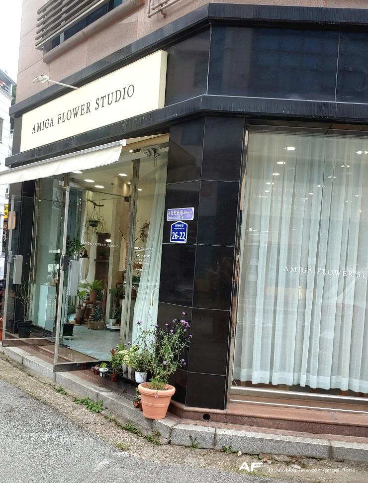 아미가플라워스튜디오 이미지