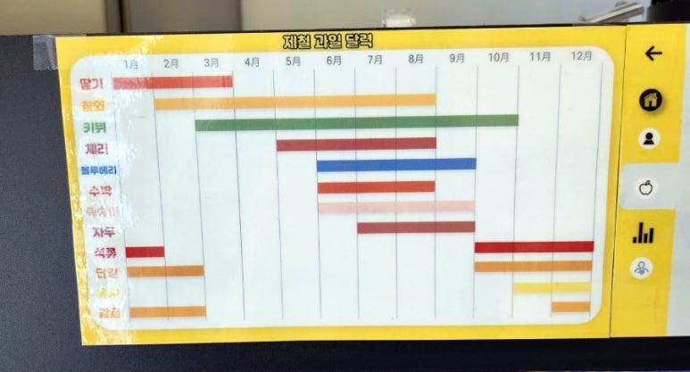 비프룻 이미지