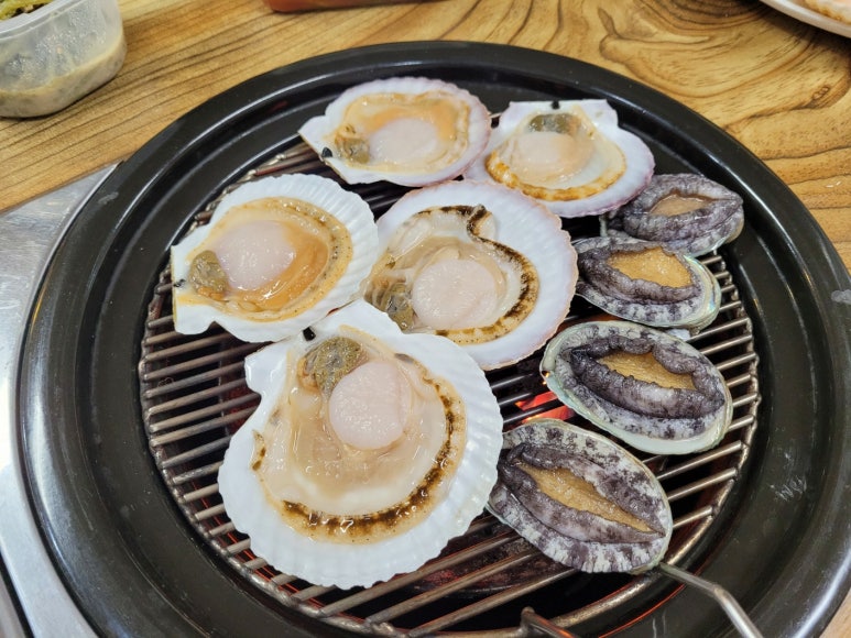 힘센민물장어 이미지