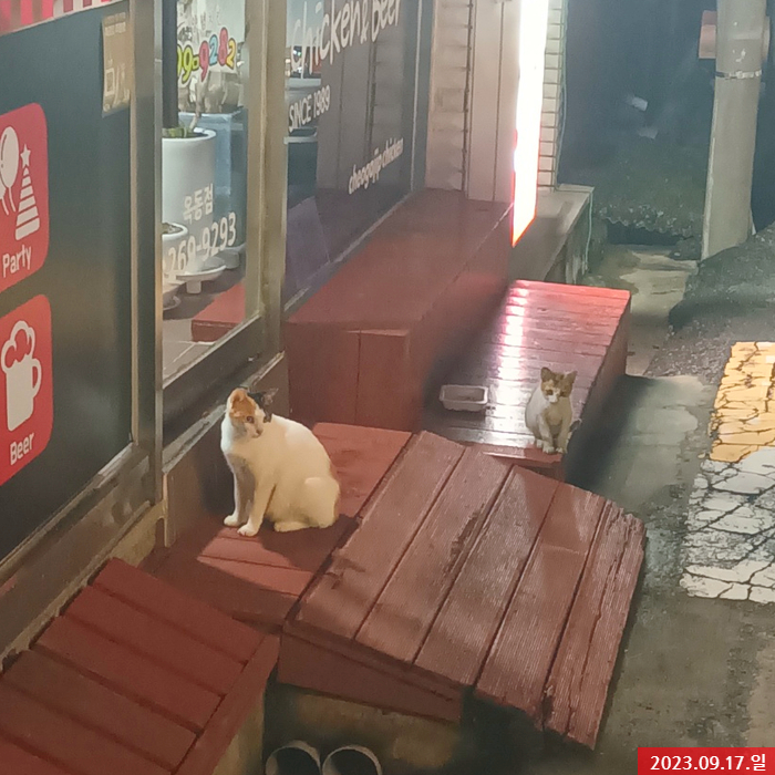 백탄참숯뒷고기 이미지