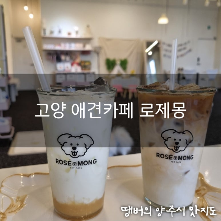 로제몽 이미지