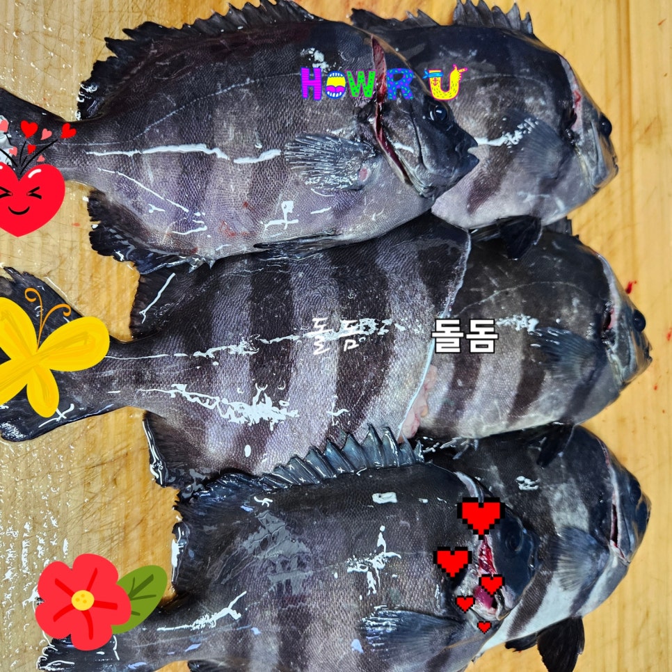 천금호 이미지