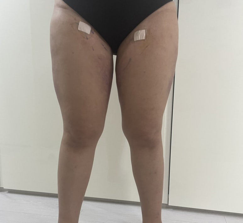 더디자인선 이미지