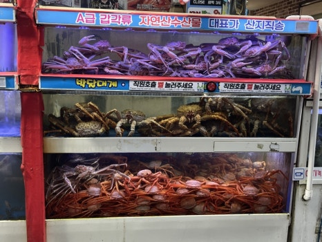 참바다&대게와친구 이미지