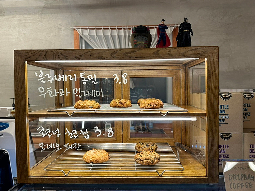 터틀빈 이미지