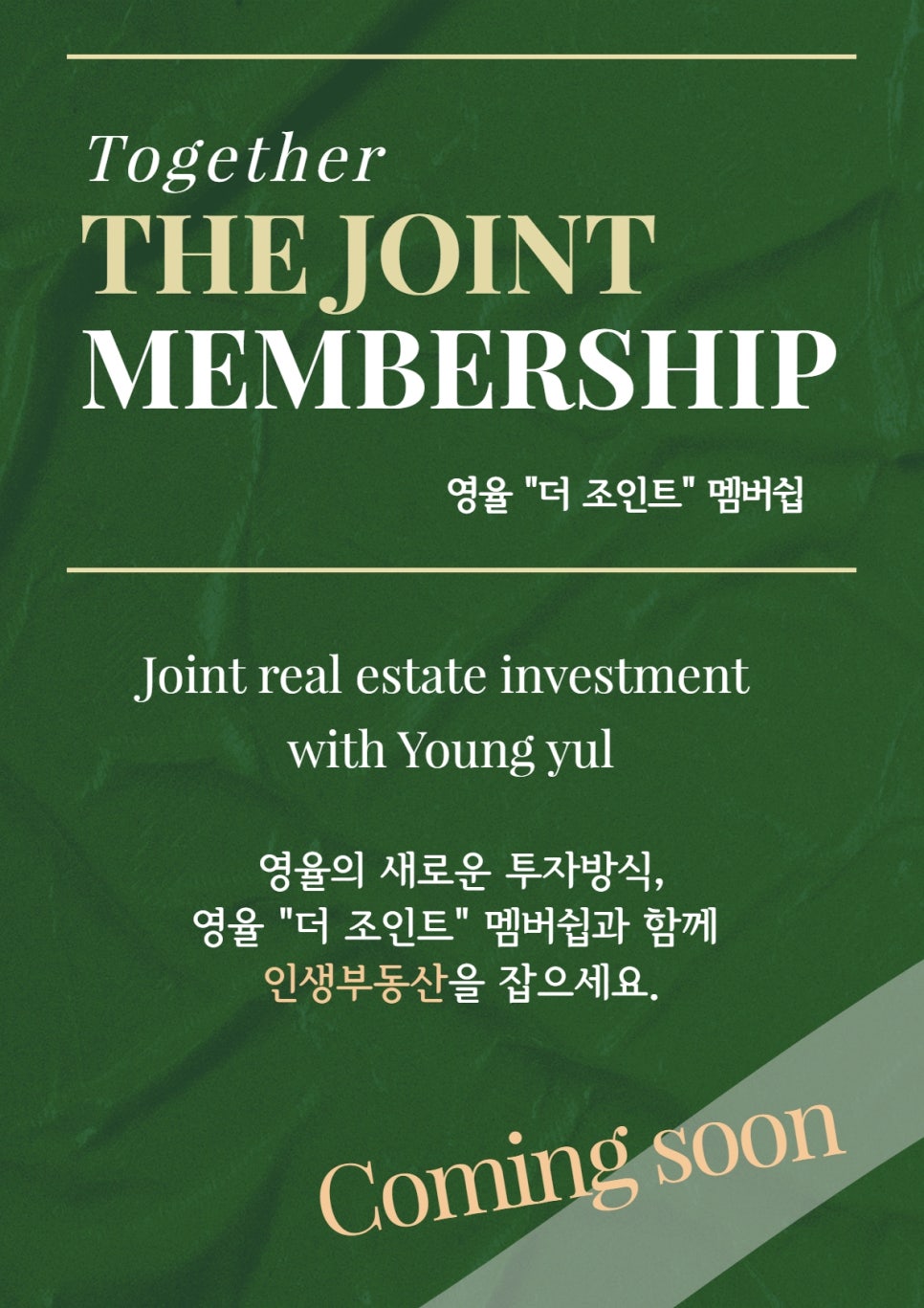 영율 이미지