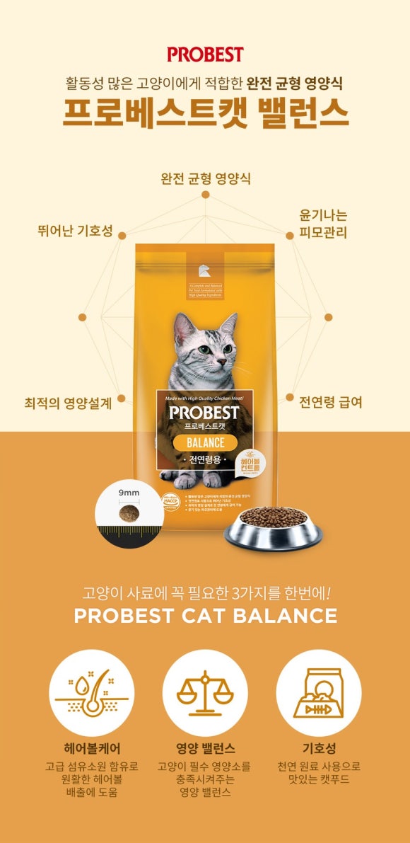포베스트 이미지