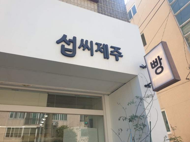 섭씨제주 이미지