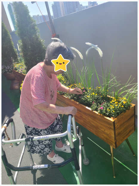 살구꽃요양원 이미지