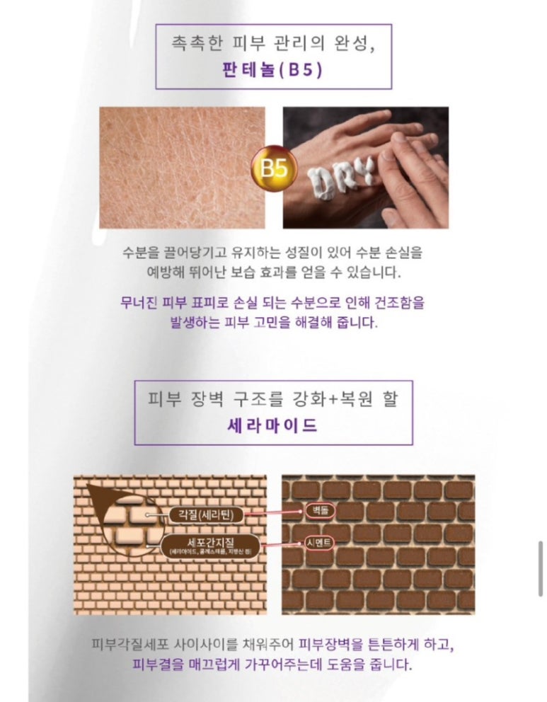 에끌라에스테틱 이미지