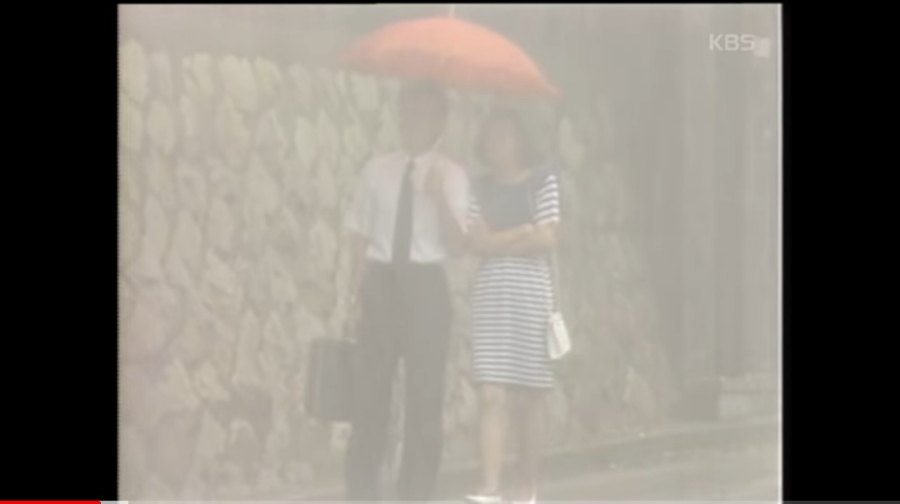 사랑이꽃피는나무 이미지