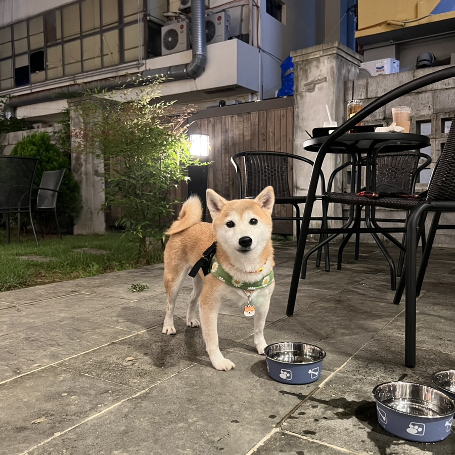 카페누베 이미지