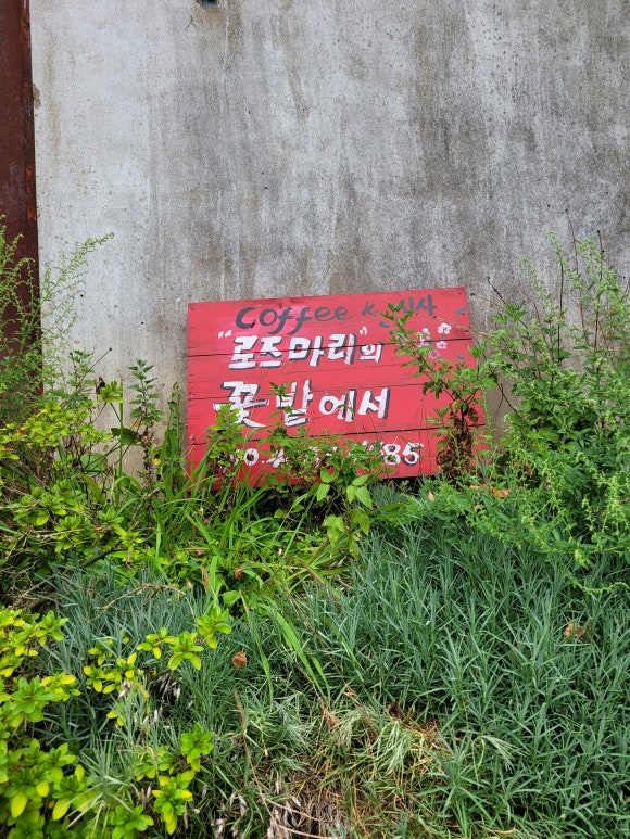 로즈마리의 꽃밭에서 이미지