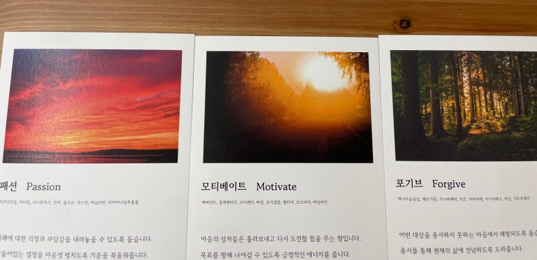 메종드테라 이미지