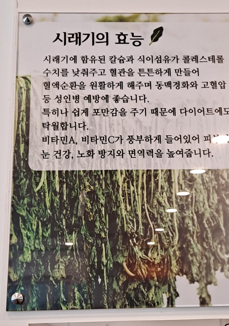 풍암중앙로 이미지
