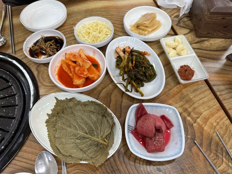 힘센민물장어 이미지