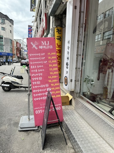 마가염색 이미지
