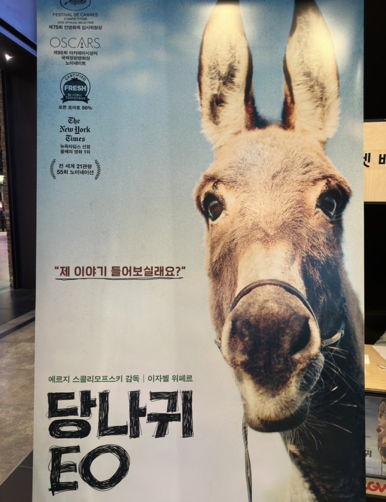 이오(EO) 이미지