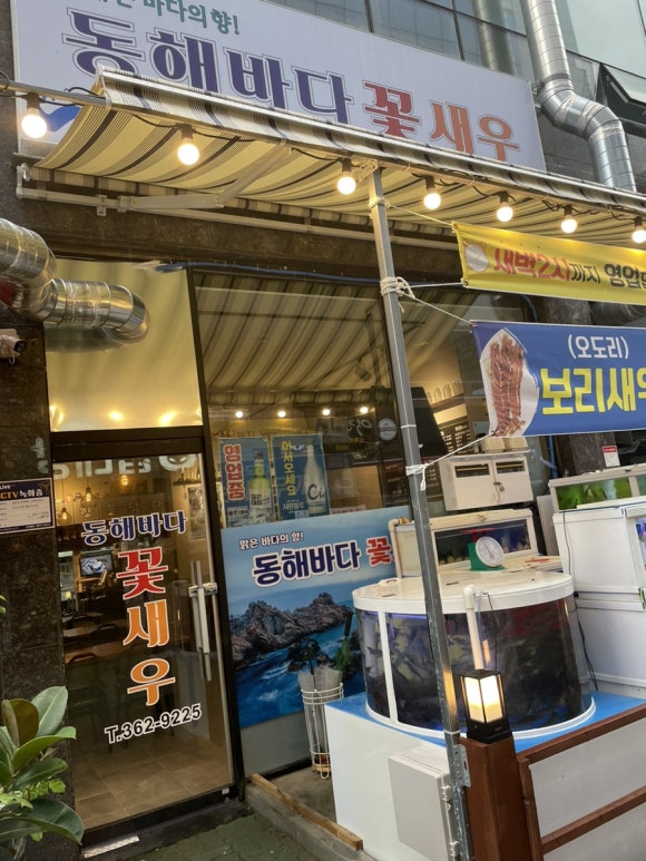 동해바다꽃새우 이미지